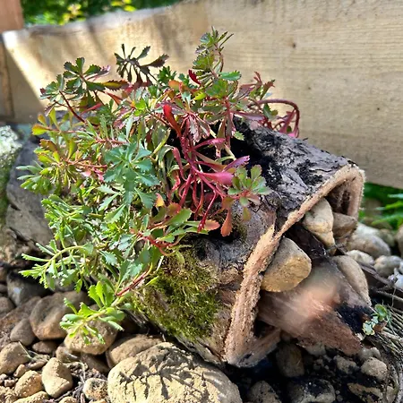 Шале Herbert's Naturlodge - Ferienidyll Im Naturpark Zittauer Gebirge *