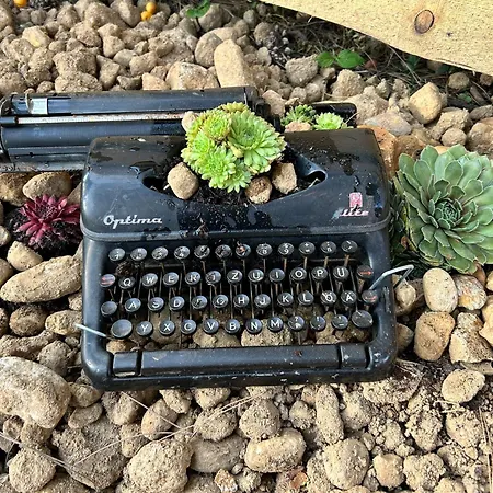 Herbert's Naturlodge - Ferienidyll Im Naturpark Zittauer Gebirge * Hainewalde