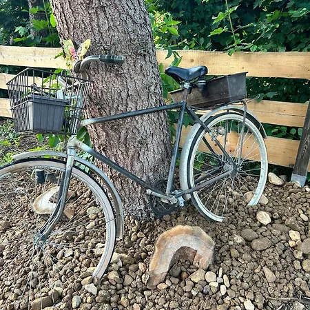 Herbert's Naturlodge - Ferienidyll Im Naturpark Zittauer Gebirge Шале