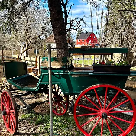 Herbert's Naturpark-cottage 