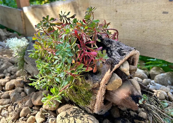 Chalet Herbert's Naturlodge - Ferienidyll Im Naturpark Zittauer Gebirge *