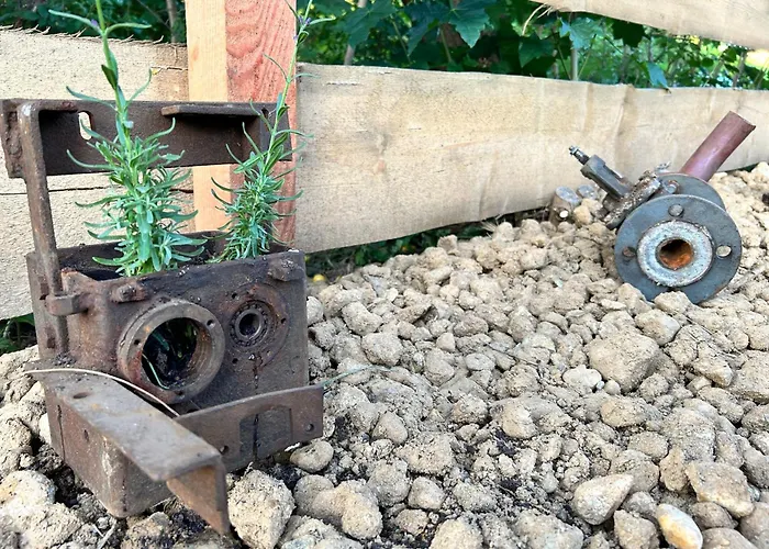 Herbert's Naturpark-cottage 