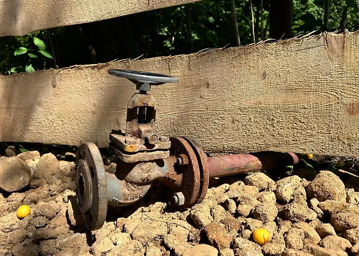 Chalet Herbert's Naturpark-cottage 