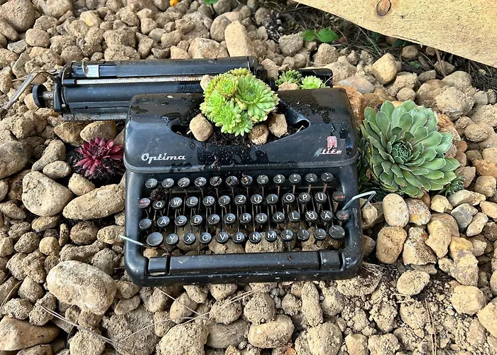 Herbert's Naturpark-cottage 